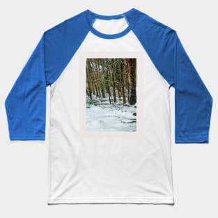 Snow amongst trees Baseball T-Shirt